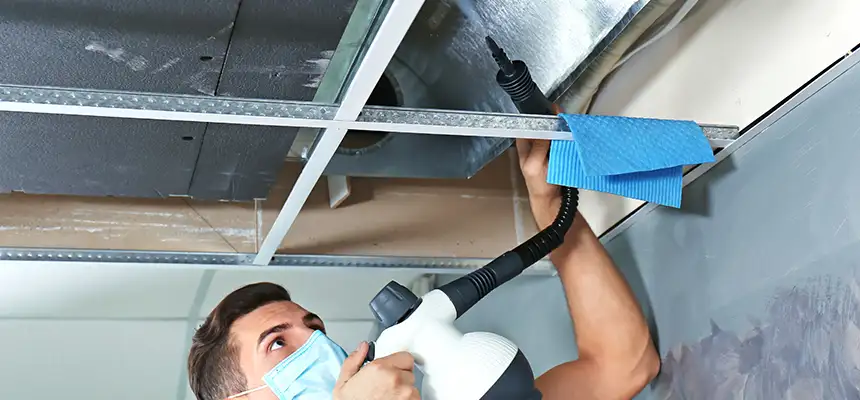 Our Air Duct Rodent Removal Services in Palm Springs, CA