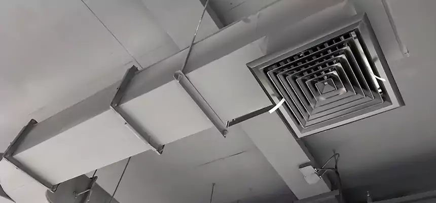 Restorative Allergy Relief Vent Cleaning – Coil, Blower & Housing Detail in Palm Springs