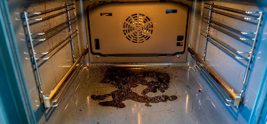 Our Dryer Vent Mold Cleaning Services in Palm Springs, CA