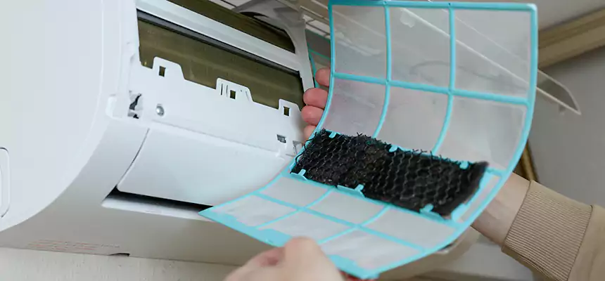 Gentle Ductwork Odor-Control Pet Dander Duct Cleaning in Palm Springs, CA