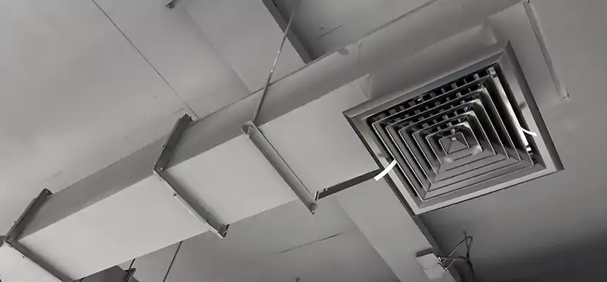 Our Rodent Droppings In Vents Services in Palm Springs, CA