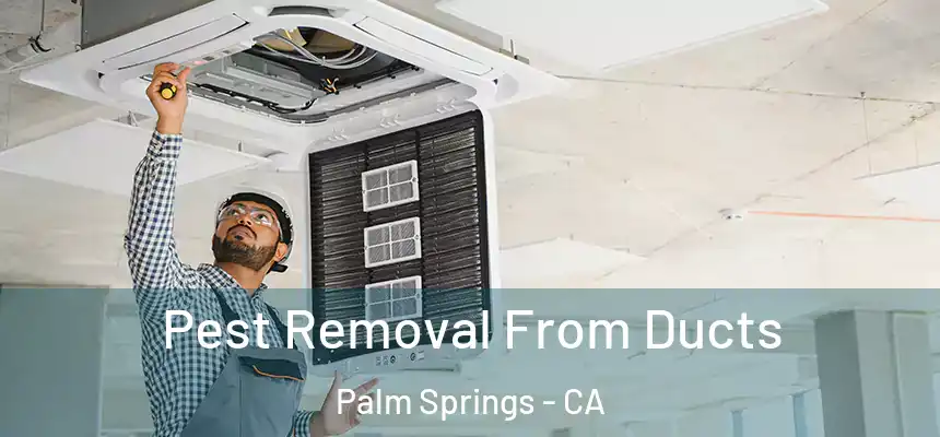  Pest Removal From Ducts Palm Springs - CA