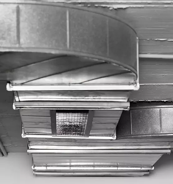 Professional Air Duct Pest Removal in Palm Springs, CA