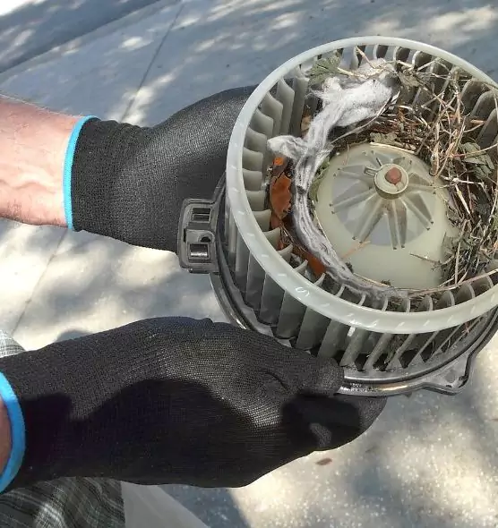 About Air Duct Rat Removal in Palm Springs, CA