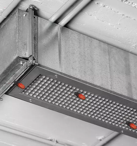 Affordable Insect Removal from Air Ducts in Palm Springs, CA