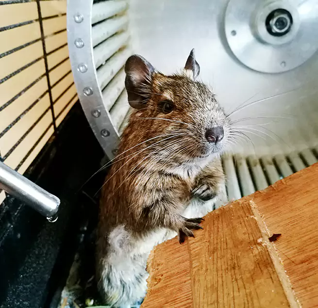 Why Homeowners & Businesses Trust Us Palm Springs, CA