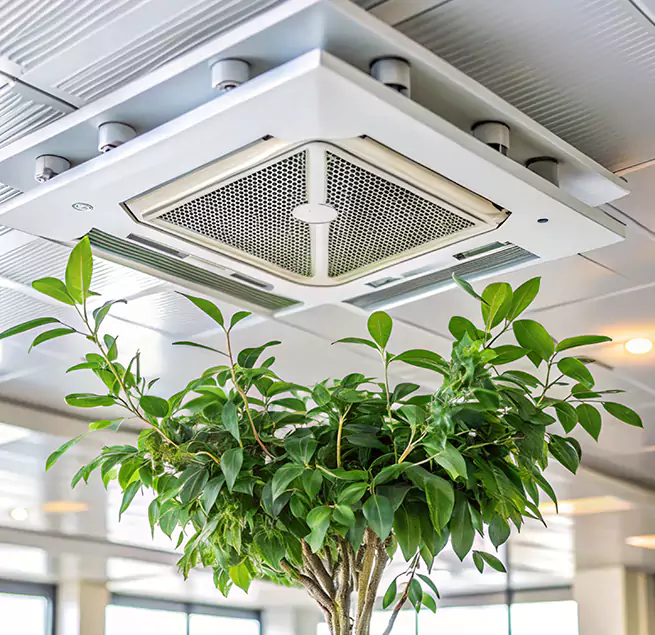 Why Homeowners & Businesses Trust Us in Palm Springs, CA?